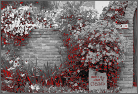 red pixel highlighted bw image