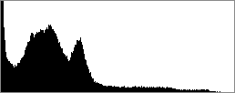 example 001b histogram