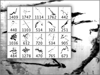 Grunge Cracks - Photoshop Brushes